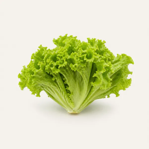 Alface